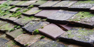 East Harptree roof repair costs